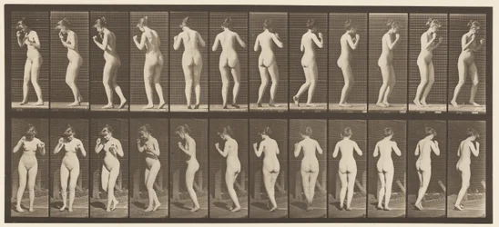 Plate 195. Dancing Waltz