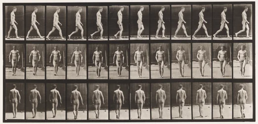 Plate 1. Walking