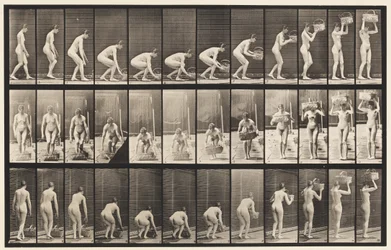Plate 221. Stooping and Lifting 12 lb Basket to Head