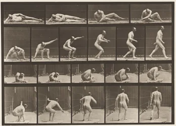 Plate 258. Arising from the Ground and Walking Off