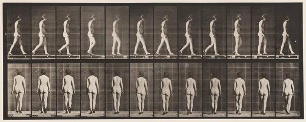 Plate 25. Walking, With High-Heeled Shoes On