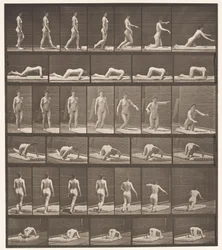Plate 272. Stumbling and Falling on the Ground