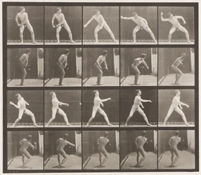 Plate 273. Baseball; Pitching
