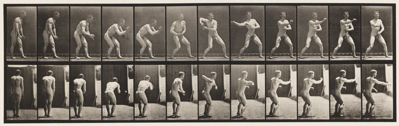 Plate 285. Base-ball; Catching and Throwing