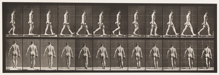 Plate 28. Walking, Carrying 50 lb. Dumb-Bell in Right Hand