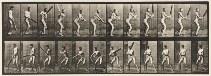 Cricket; Batting; Back Cut