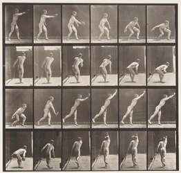 Plate 307. Throwing an Iron Disk