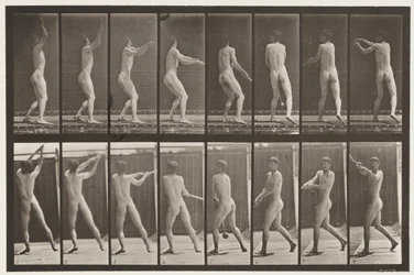 Plate 309. Throwing the Hammer