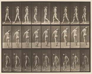 Plate 31. Walking, Carrying 75-lb Stone on Right Shoulder