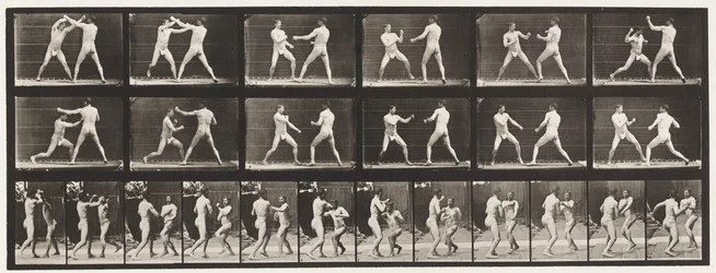 Plate 329. Boxing; (Shoes)
