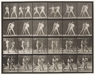 Plate 330. Boxing; Cross-Counter (Shoes)