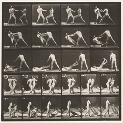 Plate 333. Boxing; Knocking Down (Shoes)
