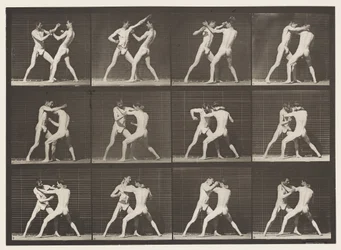 Plate 340. Boxing, Open Hand