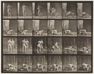Plate 346. Wrestling, Lock
