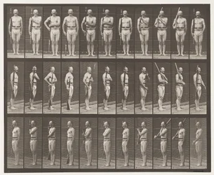 Shoulder, Order, and Carry Arms