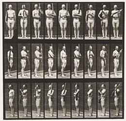 Support Arms and Arms Port
