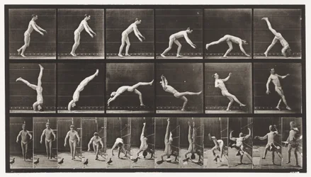 Headspring, A Flying Pigeon Interfering