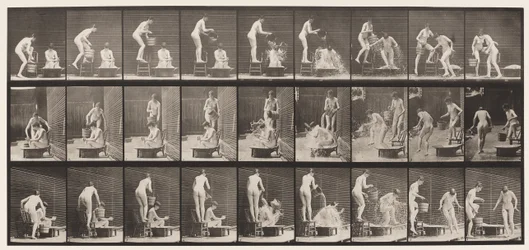 Plate 408. Two Models