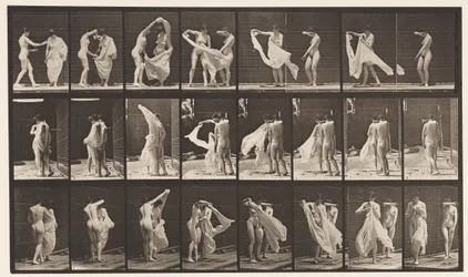 Plate 429. Toilet; Two Models, 1 Disrobing