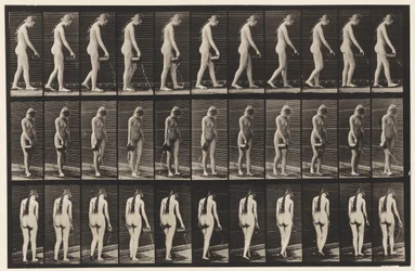 Plate 42. Walking, Pouring Water from Pitcher