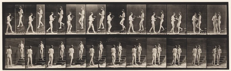 Plate 448. Two Models
