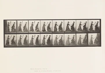Two Models, 16 Chasing 4 with a Broom