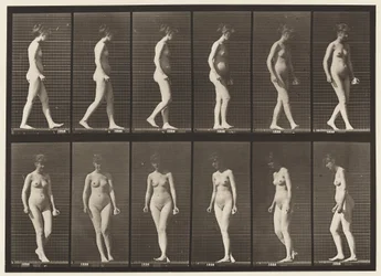 Plate 47. Walking, and Turning Around