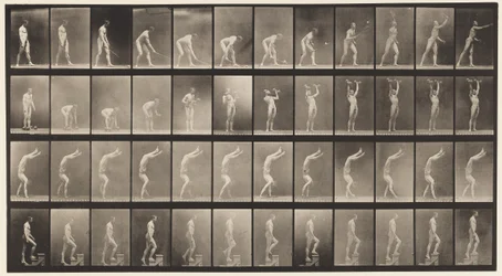 Lawn Tennis; Dumb Bells; Walking on Hands