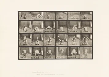 Plate 511. Contortions on the Ground