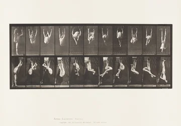 Plate 512. Contortions on Rings