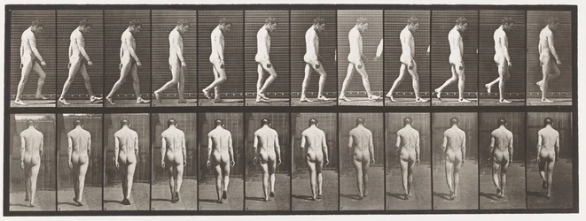 Epilepsy; Walking