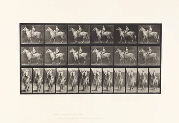 Plate 583. Walking; Saddle; Female Rider; Nude; Gray Horse, Tan, 1885
