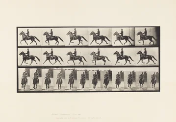 Rocking (Pacing): Saddle; Brown Horse Pronto (Plate 593)