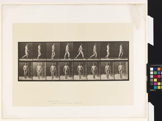 Plate 5. Walking