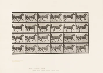 Plate 607. Trotting; Sulky; Bay Mare, Lizzie M.