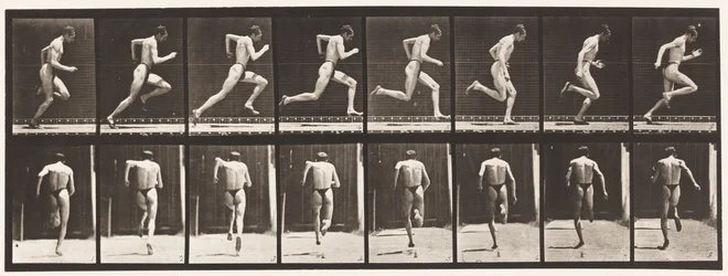 Plate 61. Running at Full Speed