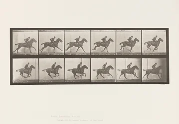 Gallop; Saddle; Bay Horse Daisy (Plate 624)
