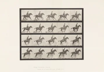 Jumping a Hurdle; Saddle; Preparing for the Leap (Plate 636)