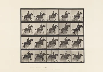 Jumping a Hurdle; Saddle; Bay Horse Daisy (Plate 638)