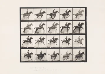 Plate 640. Jumping a Hurdle; Saddle; Bay Horse Daisy