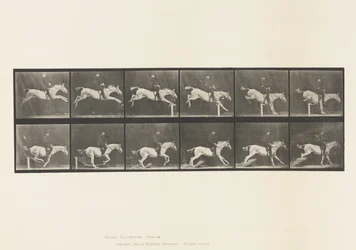 Plate 641. Jumping a Hurdle; Saddle; Knocking Over Hurdle