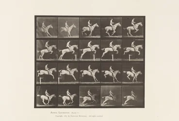 Plate 642. Jumping a Hurdle; Saddle; Rider, 105, Nude; Gray Mare, 1885