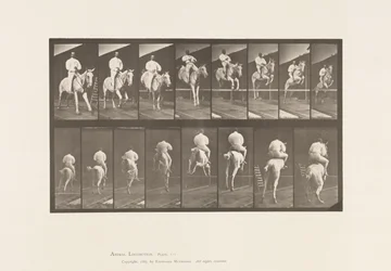 Jumping a Hurdle; Saddle; Clearing and Landing