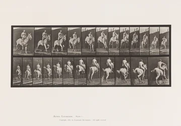 Jumping a Hurdle; Saddle; Rider, Nude