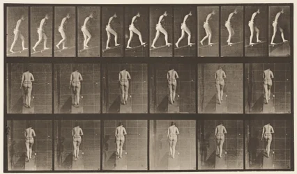 Plate 79. Ascending Incline