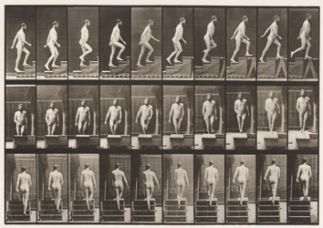 Plate 90. Ascending Stairs