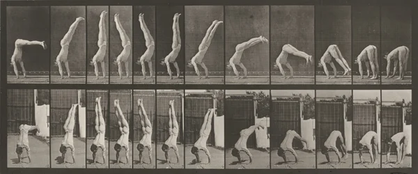 Acrobat, Vertical 
