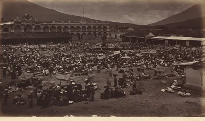 Plaza and Viceroy
