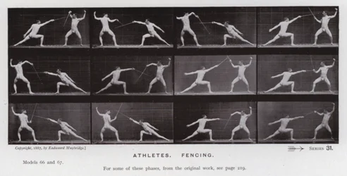 The Human Figure in Motion: Athletes, Fencing