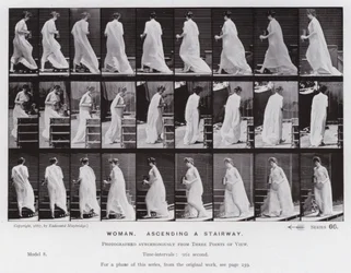 The Human Figure in Motion: Woman, ascending a stairway